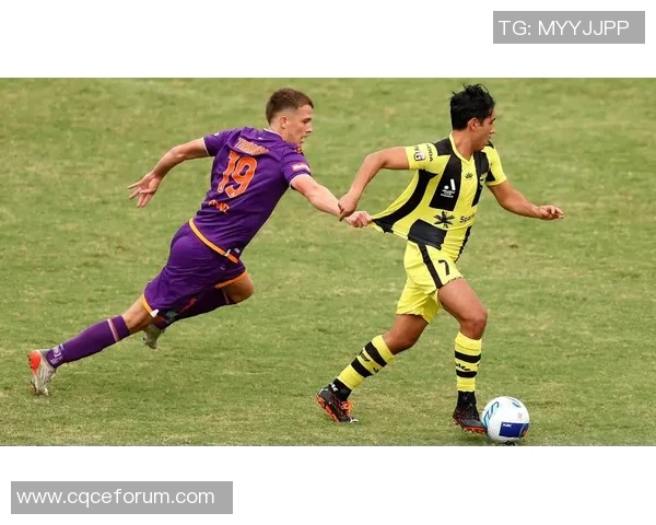 波斯光荣与惠灵顿凤凰的精彩对决揭示足球战术与团队精神的较量 波斯光荣与惠灵顿凤凰的精彩对决揭示足球战术与团队精神的较量