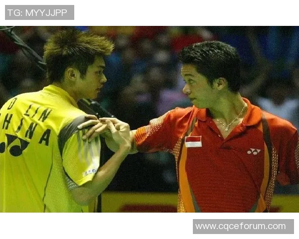 陶菲克与林丹2005年巅峰对决回顾：羽坛传奇的激烈碰撞与辉煌瞬间