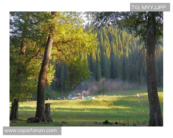 尼姆对雷恩精彩直播全程回顾与赛后分析尽在这里